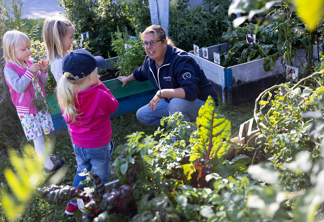 Barn och pedagog bland grönsaksodlingar på förskolan