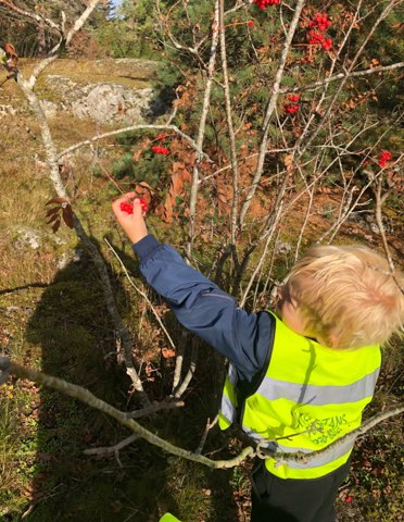 Utomhusaktivitet i skogen.
