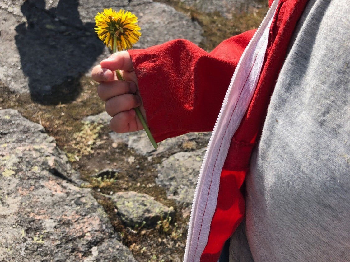 nyfiket barn plockar blommor pysslingen förskola krukmakaren