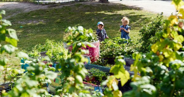 två barn står framför grönskande odlingar på förskolan Lövhagens gård