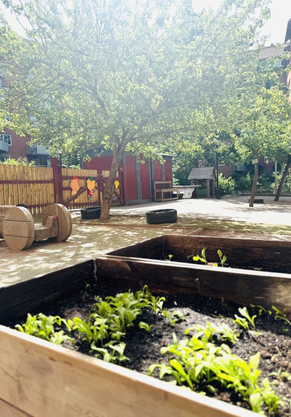 Gården på Katrinebergs förskola med odlingar.