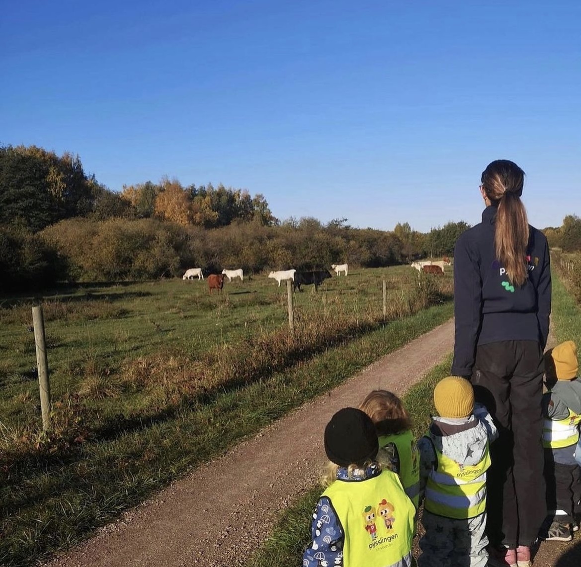 barn och pedagog står och tittar på djur i en hage