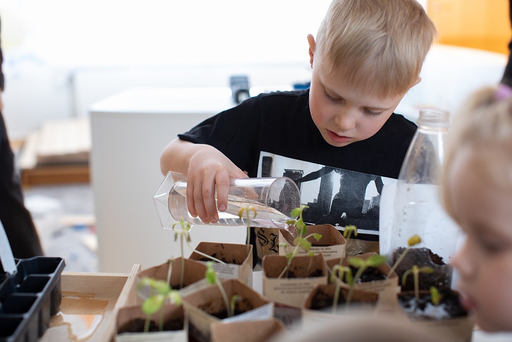Pojke vattnar plantor