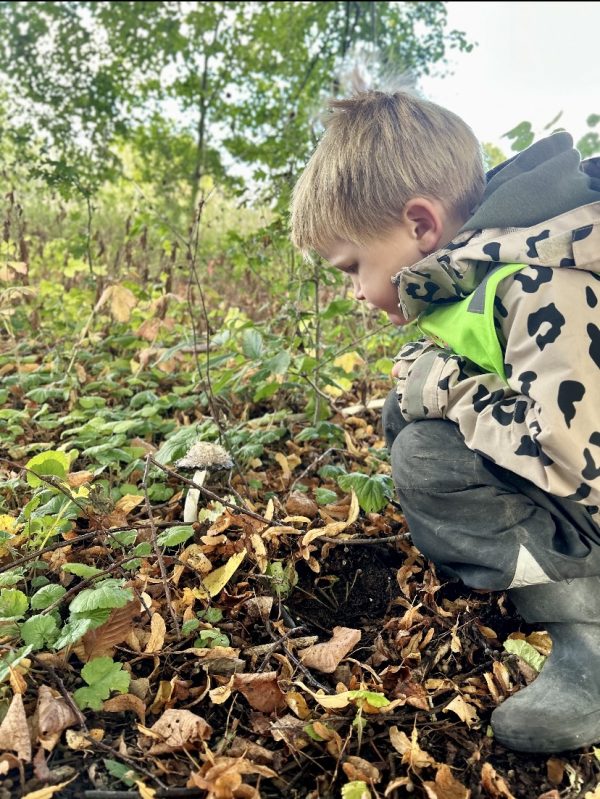 ett barn undersöker en svamp i naturen