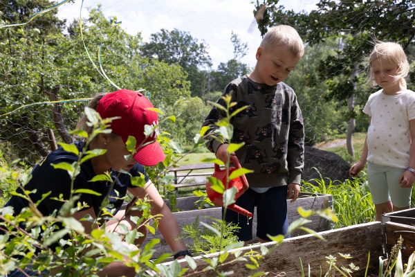 Pedagog och barn sköter om odlingslådor